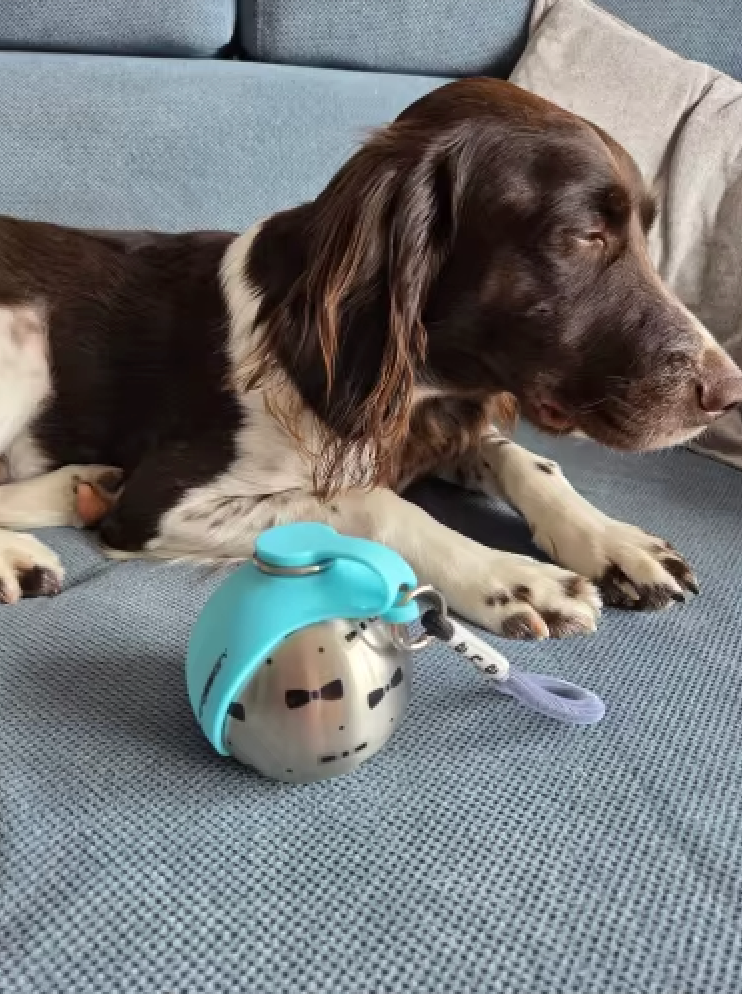 Portable Dog Water Bottle | Leak-Proof & Travel Ready